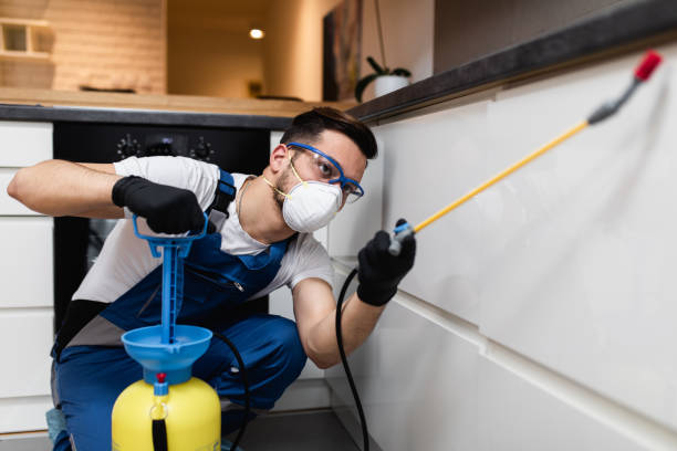 Best Affordable Pest Control Services  in Lepanto, AR
